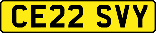 CE22SVY