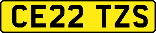 CE22TZS