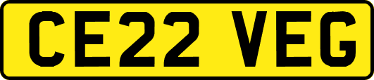 CE22VEG
