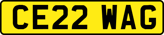 CE22WAG