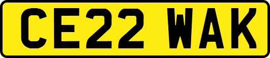 CE22WAK
