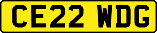 CE22WDG