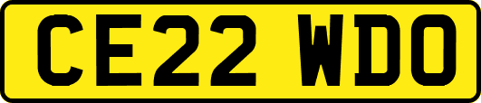 CE22WDO