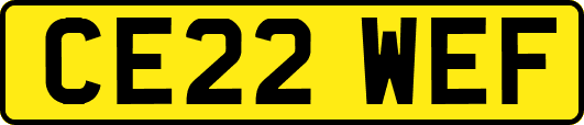 CE22WEF