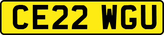 CE22WGU