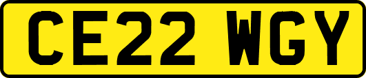 CE22WGY