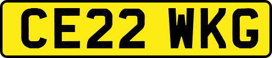 CE22WKG