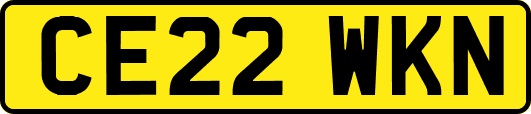 CE22WKN