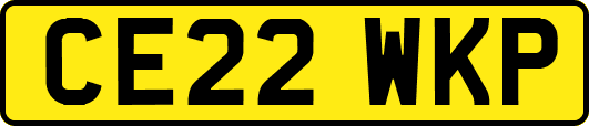 CE22WKP