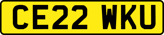 CE22WKU