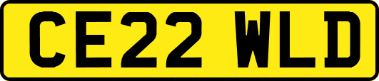 CE22WLD