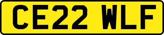 CE22WLF