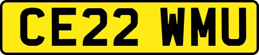 CE22WMU