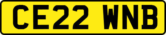 CE22WNB