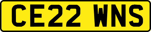 CE22WNS