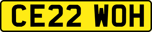 CE22WOH