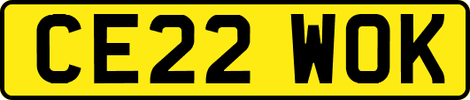 CE22WOK