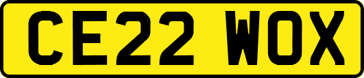 CE22WOX