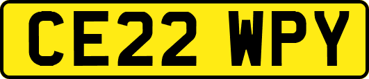 CE22WPY