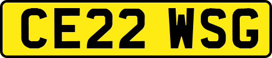 CE22WSG