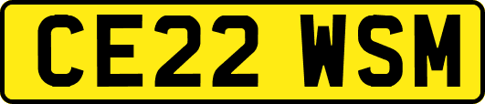 CE22WSM