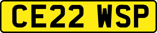 CE22WSP