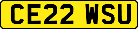 CE22WSU