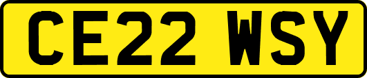 CE22WSY