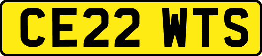 CE22WTS