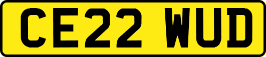 CE22WUD