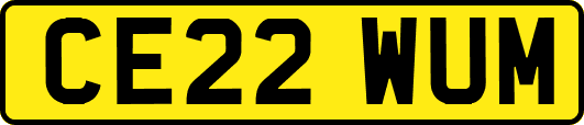 CE22WUM