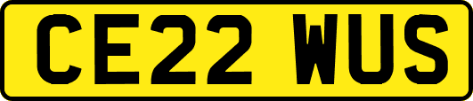 CE22WUS