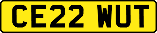CE22WUT