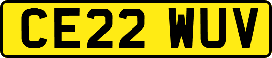 CE22WUV
