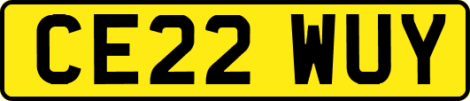 CE22WUY