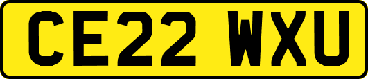 CE22WXU
