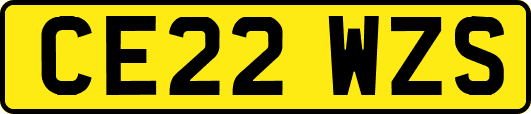 CE22WZS