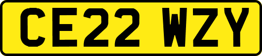 CE22WZY