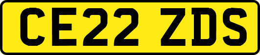 CE22ZDS