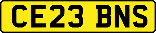 CE23BNS