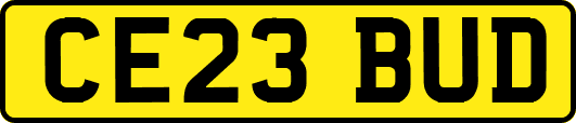 CE23BUD