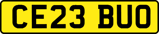 CE23BUO