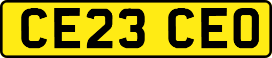 CE23CEO