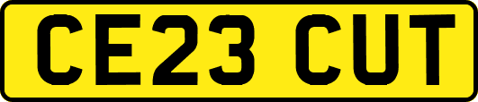 CE23CUT