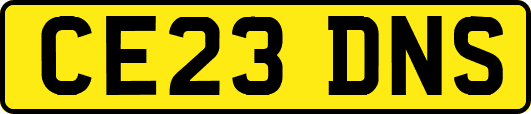 CE23DNS