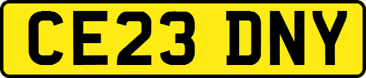 CE23DNY