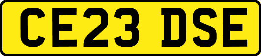 CE23DSE