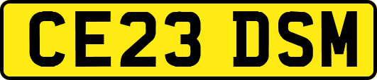 CE23DSM