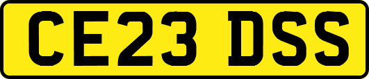 CE23DSS