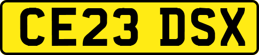 CE23DSX